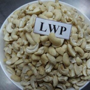 BrokencashewLWP