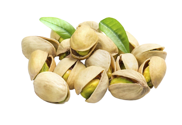Pistachio