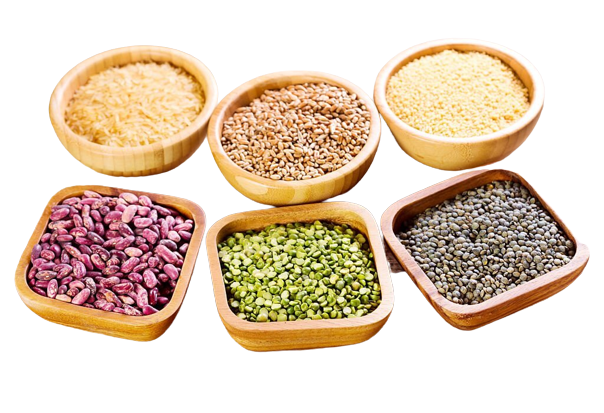 Seeds