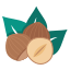 nuts